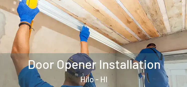 Door Opener Installation Hilo - HI