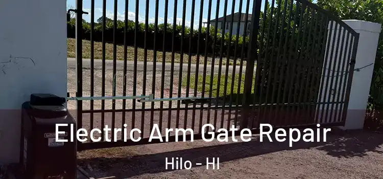 Electric Arm Gate Repair Hilo - HI
