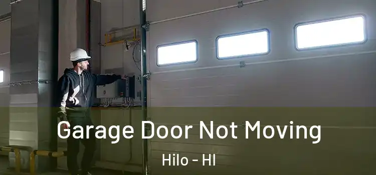  Garage Door Not Moving Hilo - HI