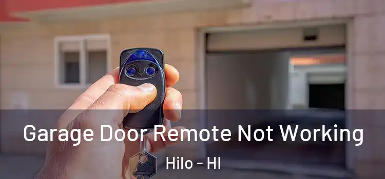  Garage Door Remote Not Working Hilo - HI