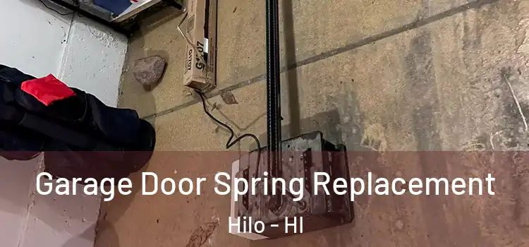  Garage Door Spring Replacement Hilo - HI
