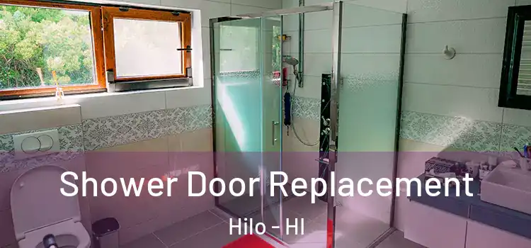 Shower Door Replacement Hilo - HI